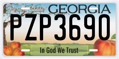 GA license plate PZP3690