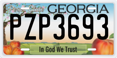 GA license plate PZP3693