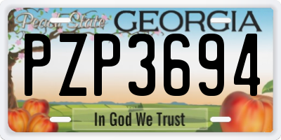 GA license plate PZP3694