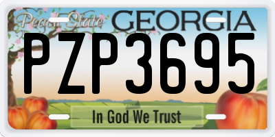 GA license plate PZP3695