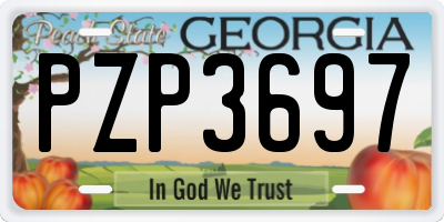 GA license plate PZP3697