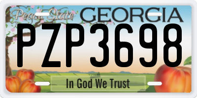 GA license plate PZP3698