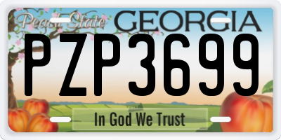 GA license plate PZP3699