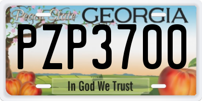 GA license plate PZP3700