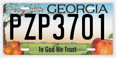 GA license plate PZP3701