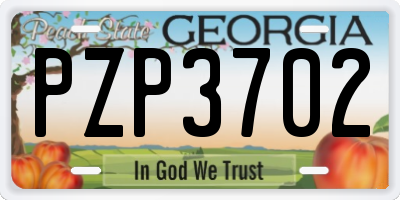 GA license plate PZP3702
