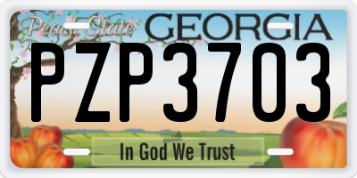 GA license plate PZP3703