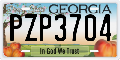 GA license plate PZP3704