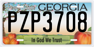 GA license plate PZP3708
