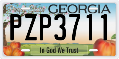 GA license plate PZP3711