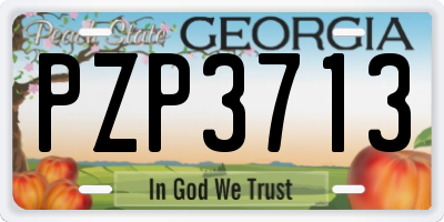 GA license plate PZP3713
