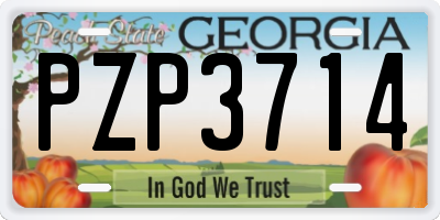 GA license plate PZP3714