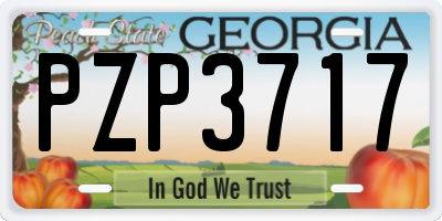 GA license plate PZP3717
