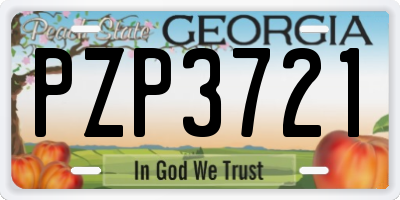 GA license plate PZP3721