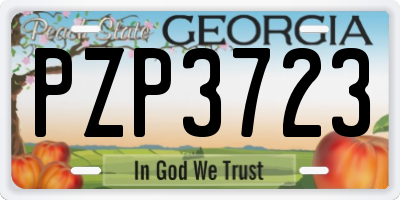 GA license plate PZP3723