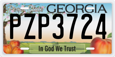 GA license plate PZP3724