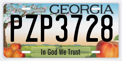GA license plate PZP3728