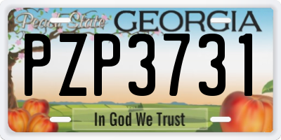 GA license plate PZP3731