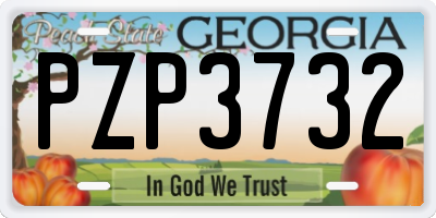 GA license plate PZP3732