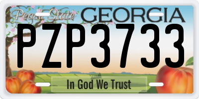 GA license plate PZP3733