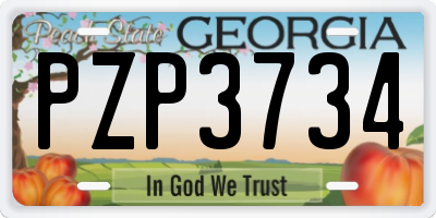 GA license plate PZP3734