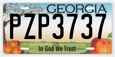 GA license plate PZP3737