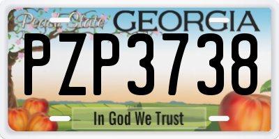 GA license plate PZP3738