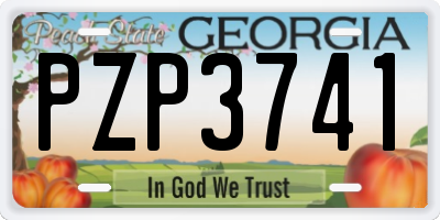 GA license plate PZP3741
