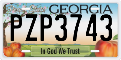 GA license plate PZP3743