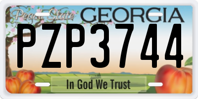 GA license plate PZP3744