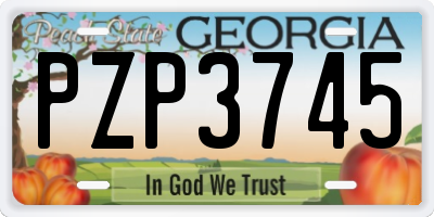 GA license plate PZP3745