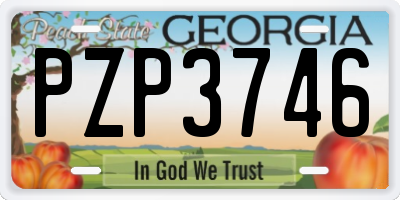 GA license plate PZP3746