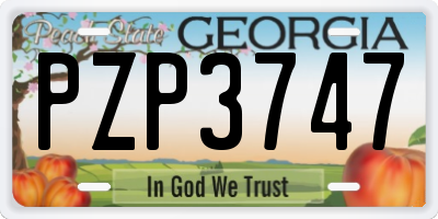 GA license plate PZP3747