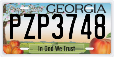 GA license plate PZP3748