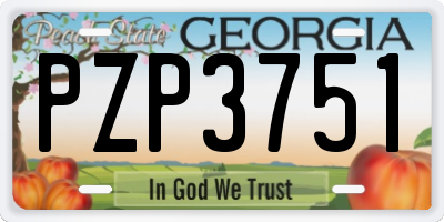GA license plate PZP3751