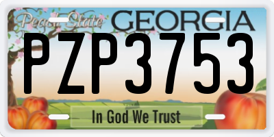 GA license plate PZP3753