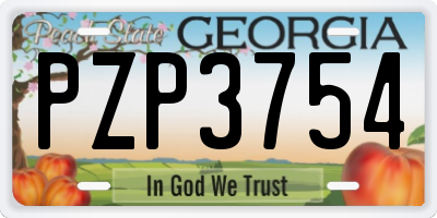 GA license plate PZP3754