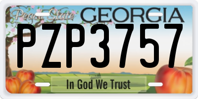 GA license plate PZP3757