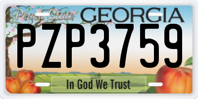 GA license plate PZP3759