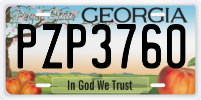 GA license plate PZP3760