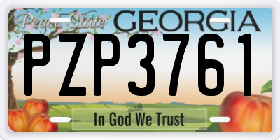GA license plate PZP3761
