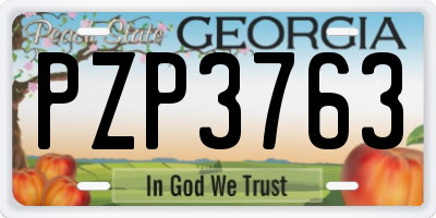 GA license plate PZP3763