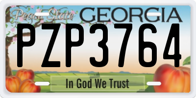 GA license plate PZP3764