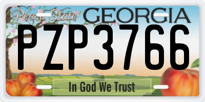 GA license plate PZP3766
