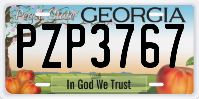 GA license plate PZP3767