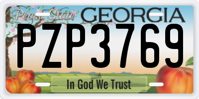 GA license plate PZP3769