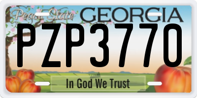 GA license plate PZP3770