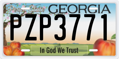 GA license plate PZP3771