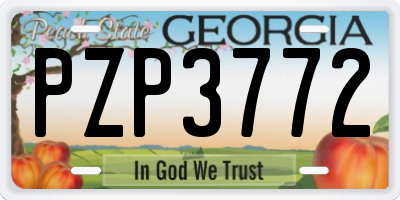 GA license plate PZP3772