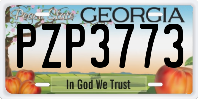GA license plate PZP3773